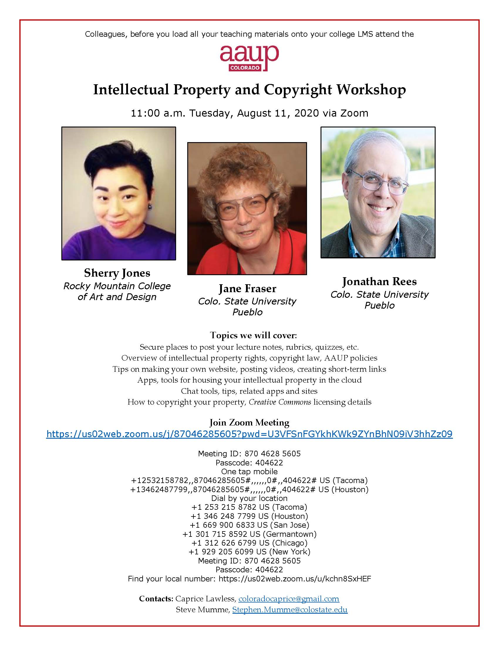 AAUP IP Workshop